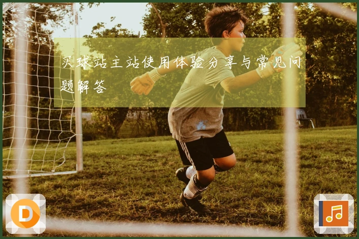 买球站主站使用体验分享与常见问题解答
