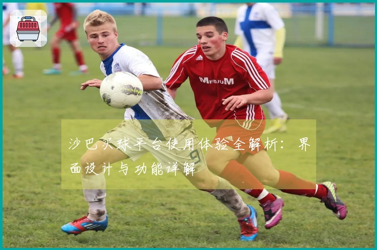 沙巴买球平台使用体验全解析：界面设计与功能详解