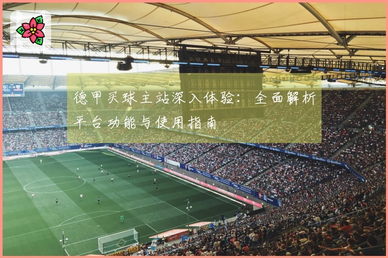 德甲买球主站深入体验：全面解析平台功能与使用指南