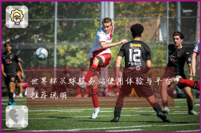 世界杯买球服务站使用体验与平台推荐说明