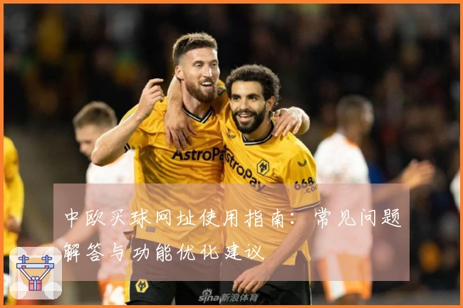 中欧买球网址使用指南：常见问题解答与功能优化建议