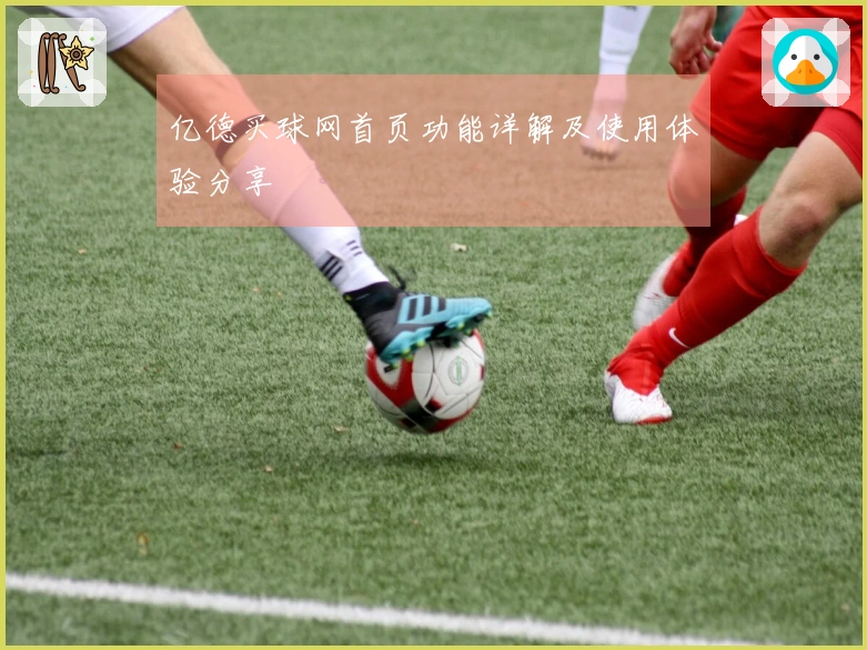 亿德买球网首页功能详解及使用体验分享