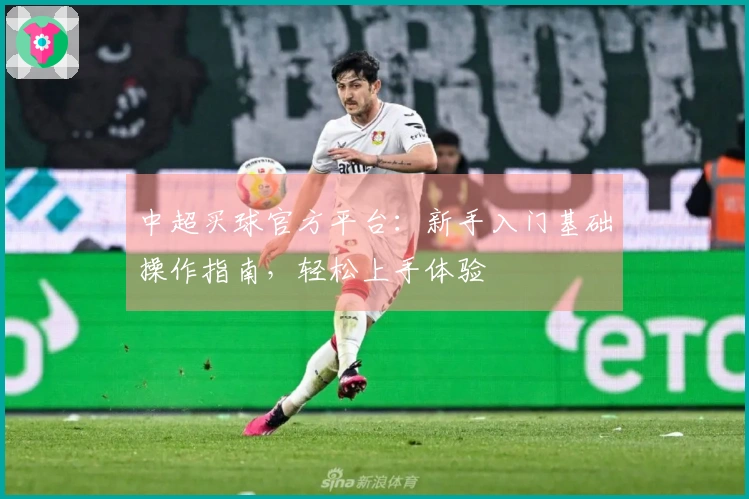 中超买球官方平台：新手入门基础操作指南，轻松上手体验